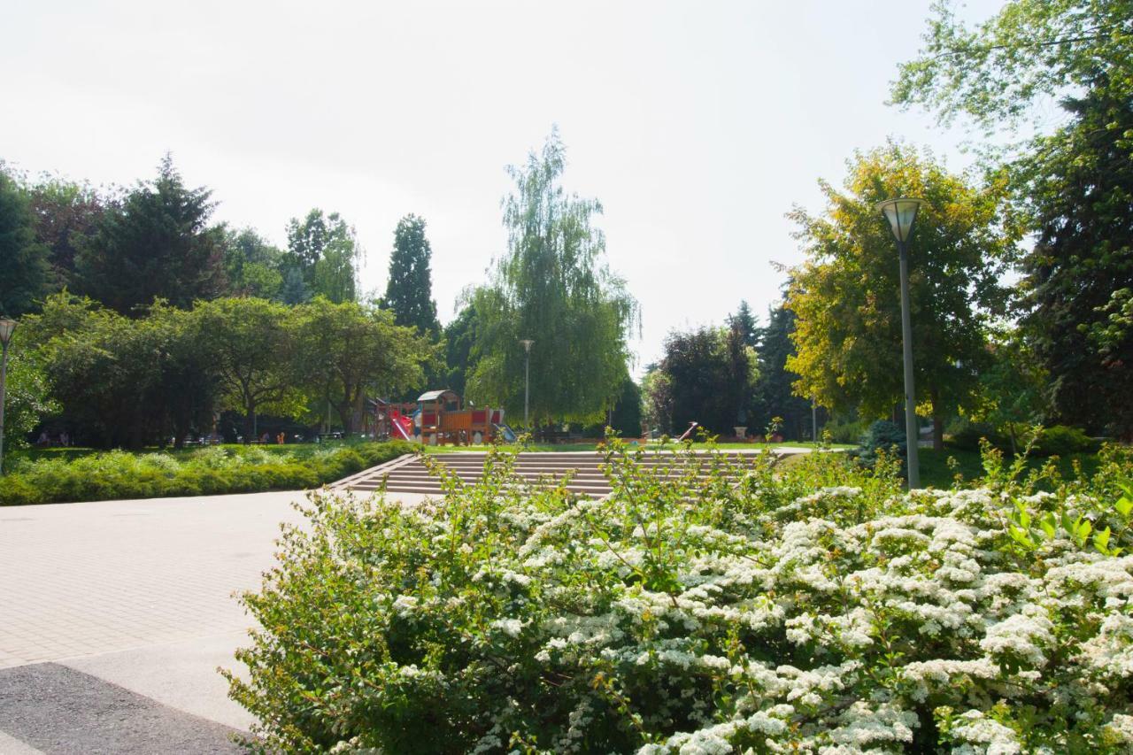 Niebianski Apartament Rzeszów Exteriör bild